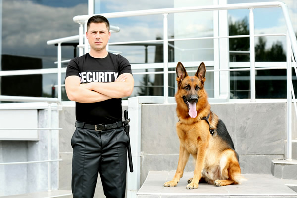 Agent de securite Petro Gard